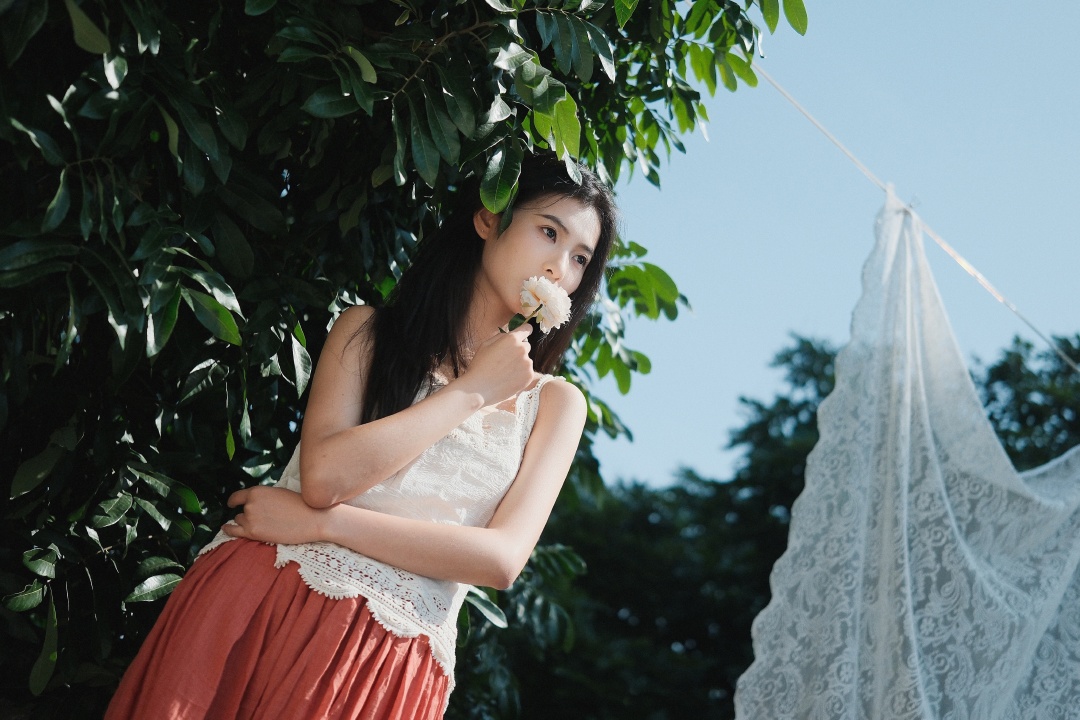 盛夏与蝉鸣