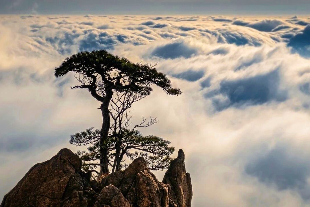安和桥